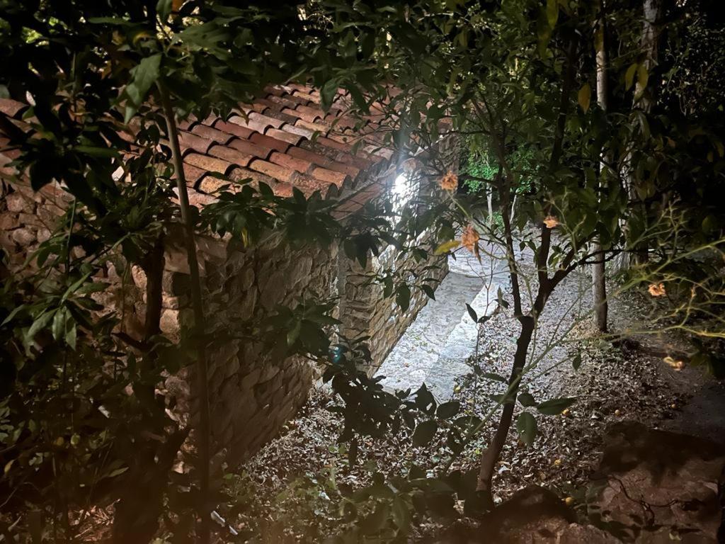 Casa De Campo Fuencaliente, Entorno Natural, Chimenea, Piscina Canete la Real Εξωτερικό φωτογραφία